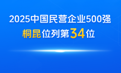 桐昆，中國民營企業500強第34位！